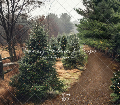 Rustic Country Tree Farm - Room