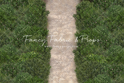 Spring in Bloom Bunny House 2pc Set