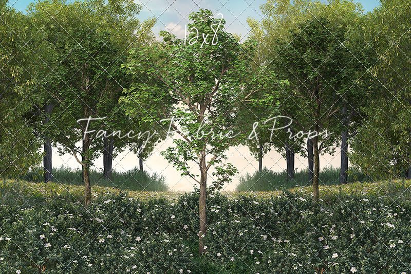 Spring Morning Meadow