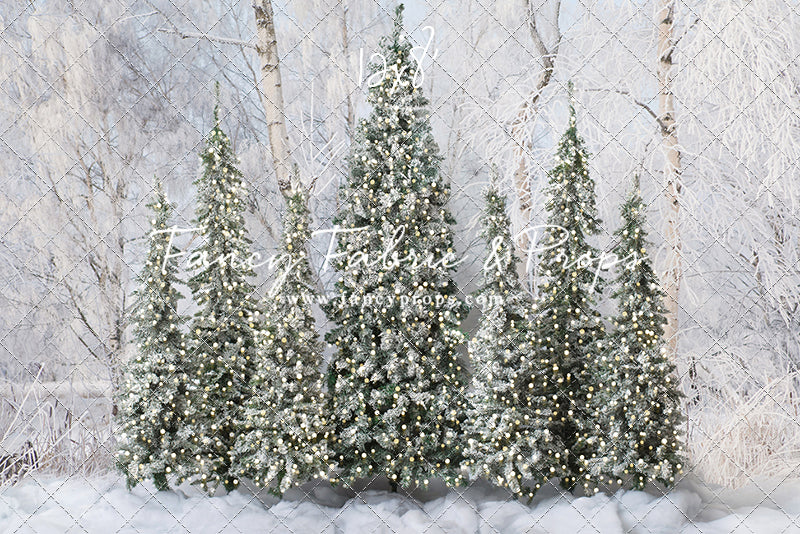 Winter Christmas Barn Forest