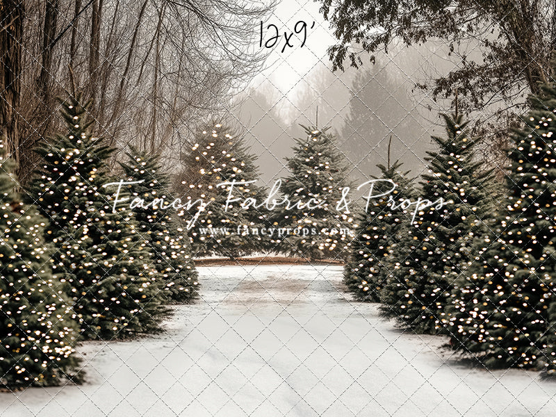 Country Pines Trail with Sweep Option