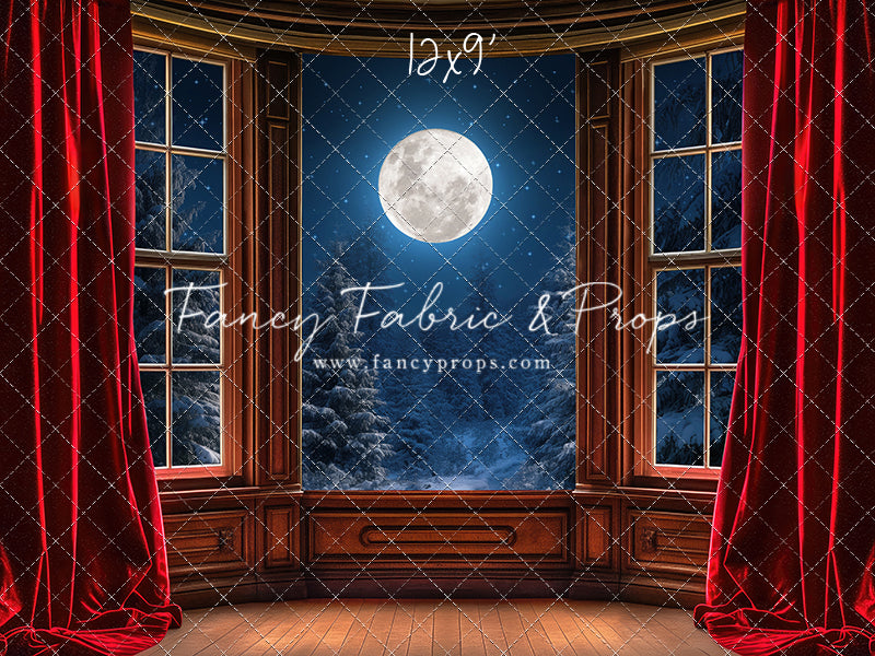 Midnight Christmas View