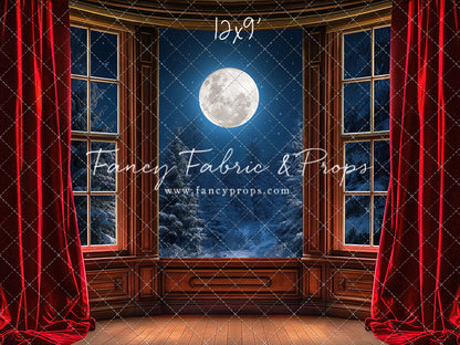 Midnight Christmas View