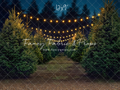 Pine Ridge Farm Path