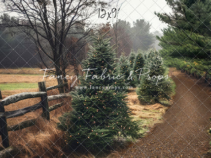 Rustic Tree Farm Trail