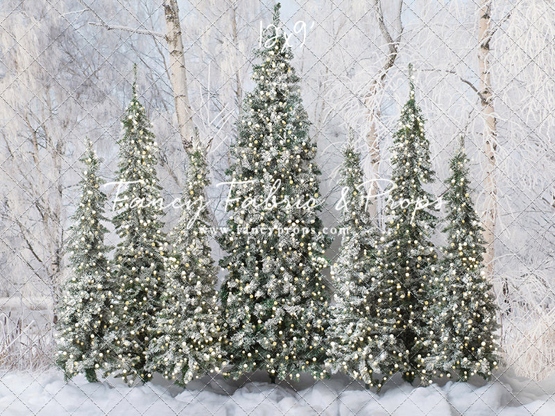 Winter Christmas Barn Forest