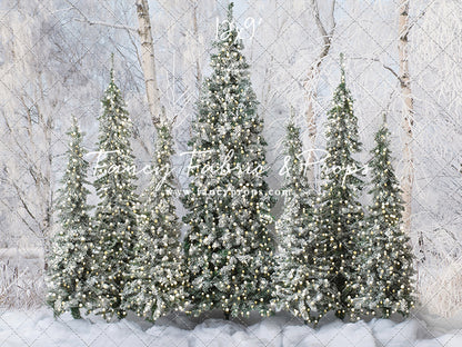 Winter Christmas Barn Forest