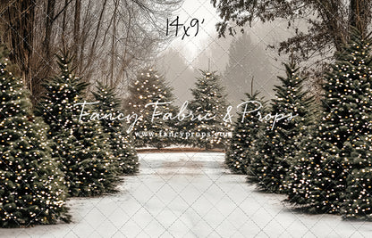 Country Pines Trail with Sweep Option