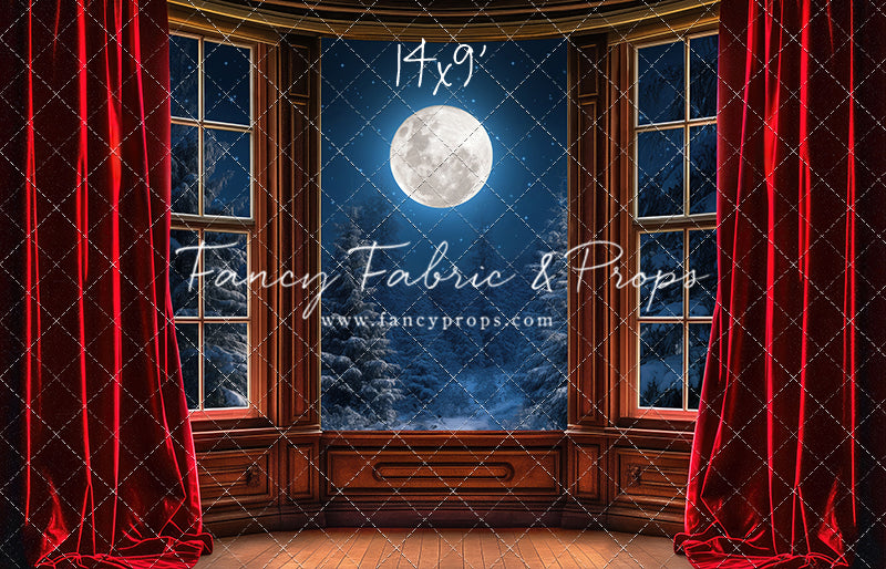 Midnight Christmas View