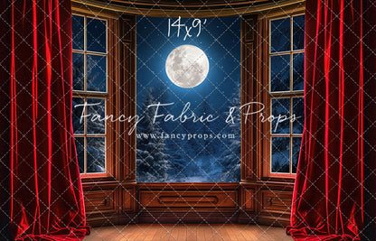 Midnight Christmas View