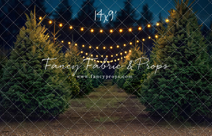 Pine Ridge Farm Path