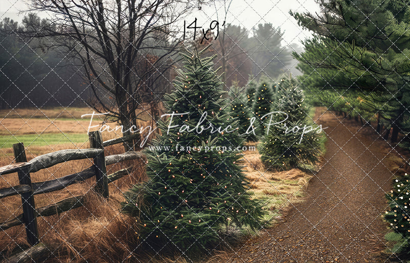 Rustic Tree Farm Trail