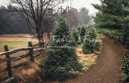 Rustic Tree Farm Trail