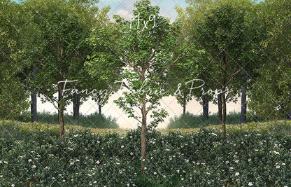 Spring Morning Meadow