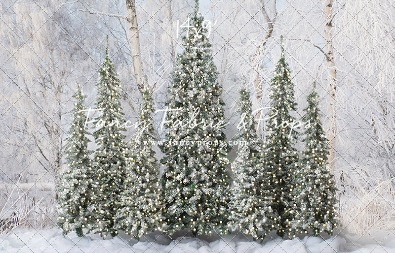 Winter Christmas Barn Forest