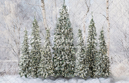 Winter Christmas Barn Forest