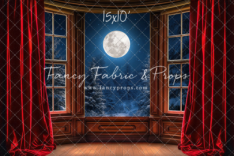 Midnight Christmas View