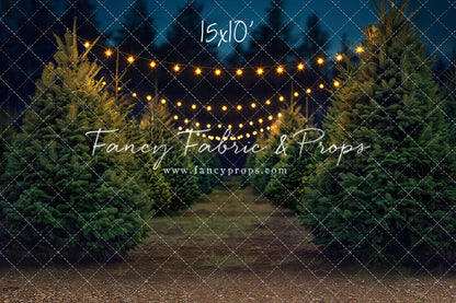 Pine Ridge Farm Path