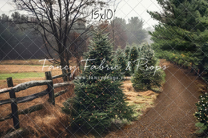 Rustic Tree Farm Trail