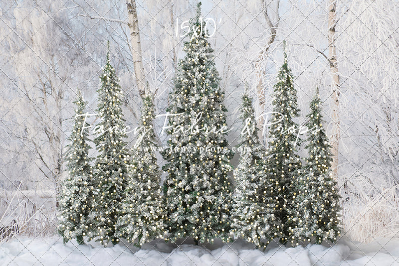 Winter Christmas Barn Forest