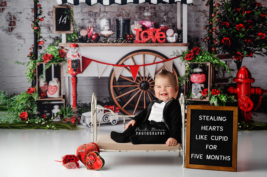 RTS Love Is Sweet - 90x60" Wrinkle Free Fabric - Brand New - 50% Off