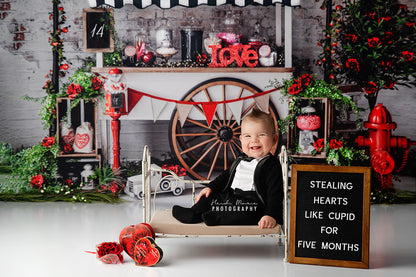 RTS Love Is Sweet - 90x60" Wrinkle Free Fabric - Brand New - 50% Off