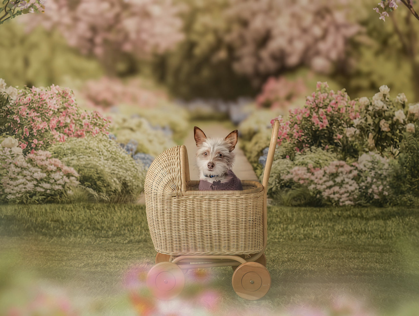 Blossom Breeze Path - With Sweep Option