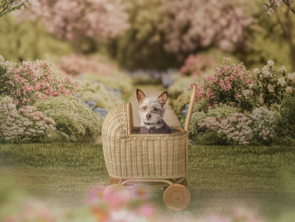 Blossom Breeze Path - With Sweep Option