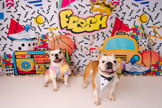 RTS Bel-Air - 84x60" Wrinkle-Free Fabric - Dirty - 60% Off