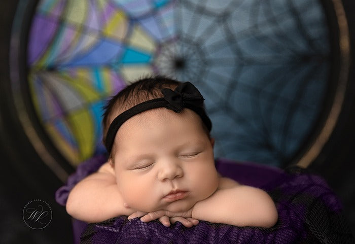 Nevermore View - Petite