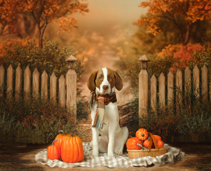 Autumn Forest Trail - 2pc Set