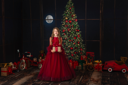 Christmas Bay Window - Room