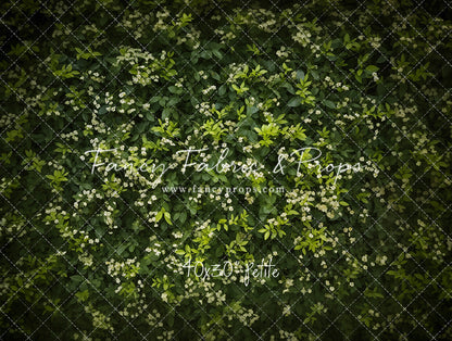 Lush Garden Greens - Petite