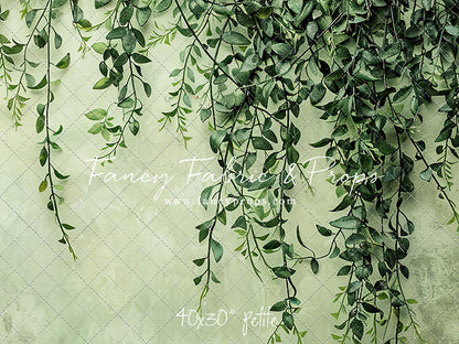 Painted Myrtle - Petite