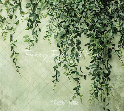 Painted Myrtle - Petite