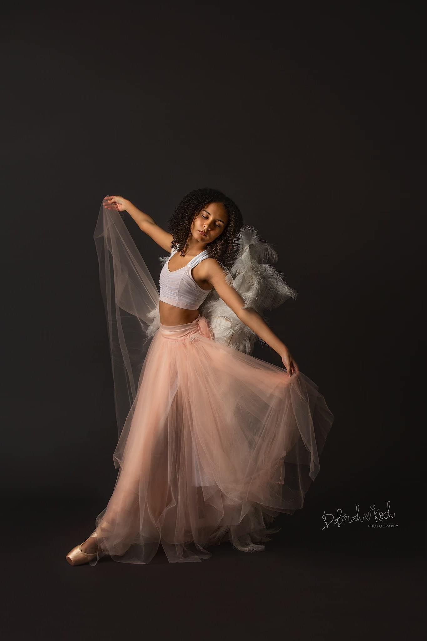 Easiframe Backdrop Sweep System