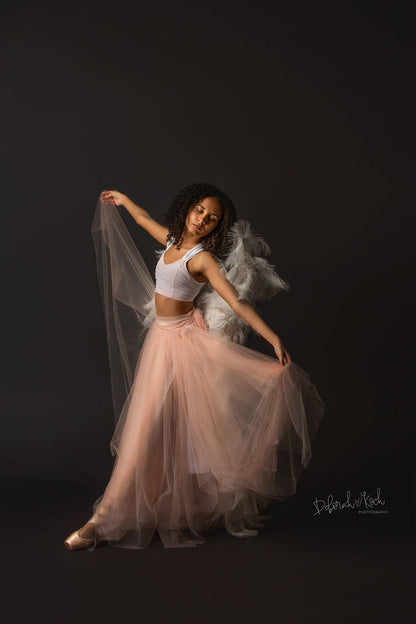 Easiframe Backdrop Sweep System