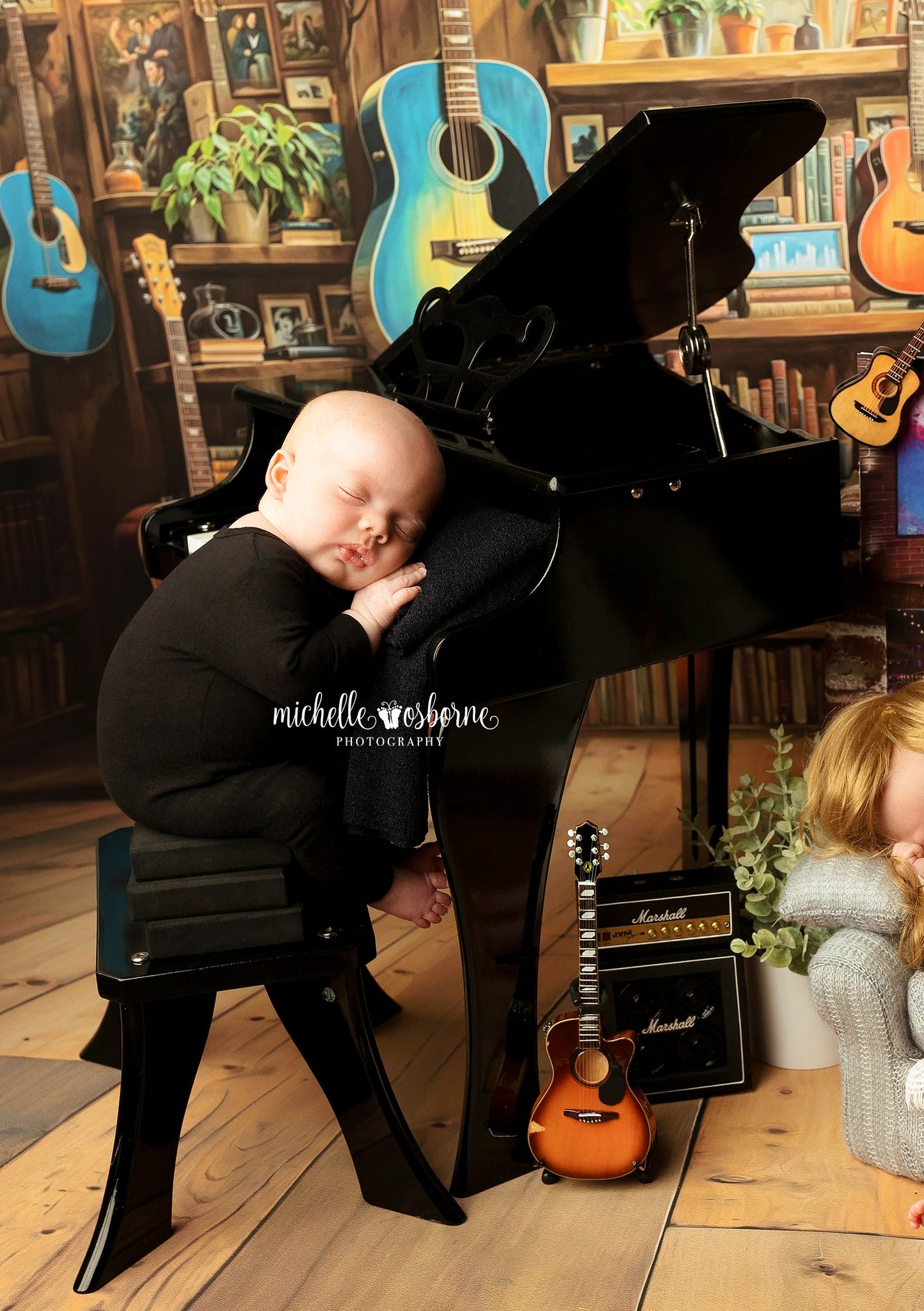 Scenic Acoustic Alcove