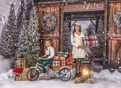 Snowy Mountain Reindeer Farm - No Reindeer - Room