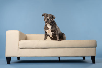 Easiframe Backdrop Sweep System