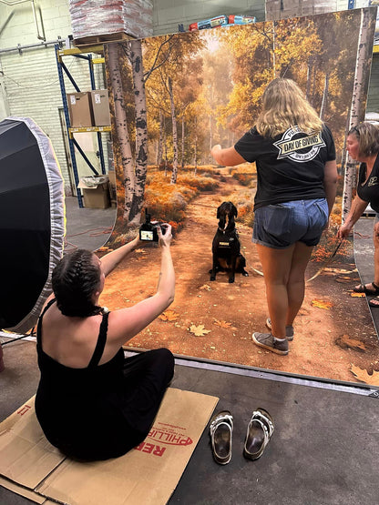 Easiframe Backdrop Sweep System