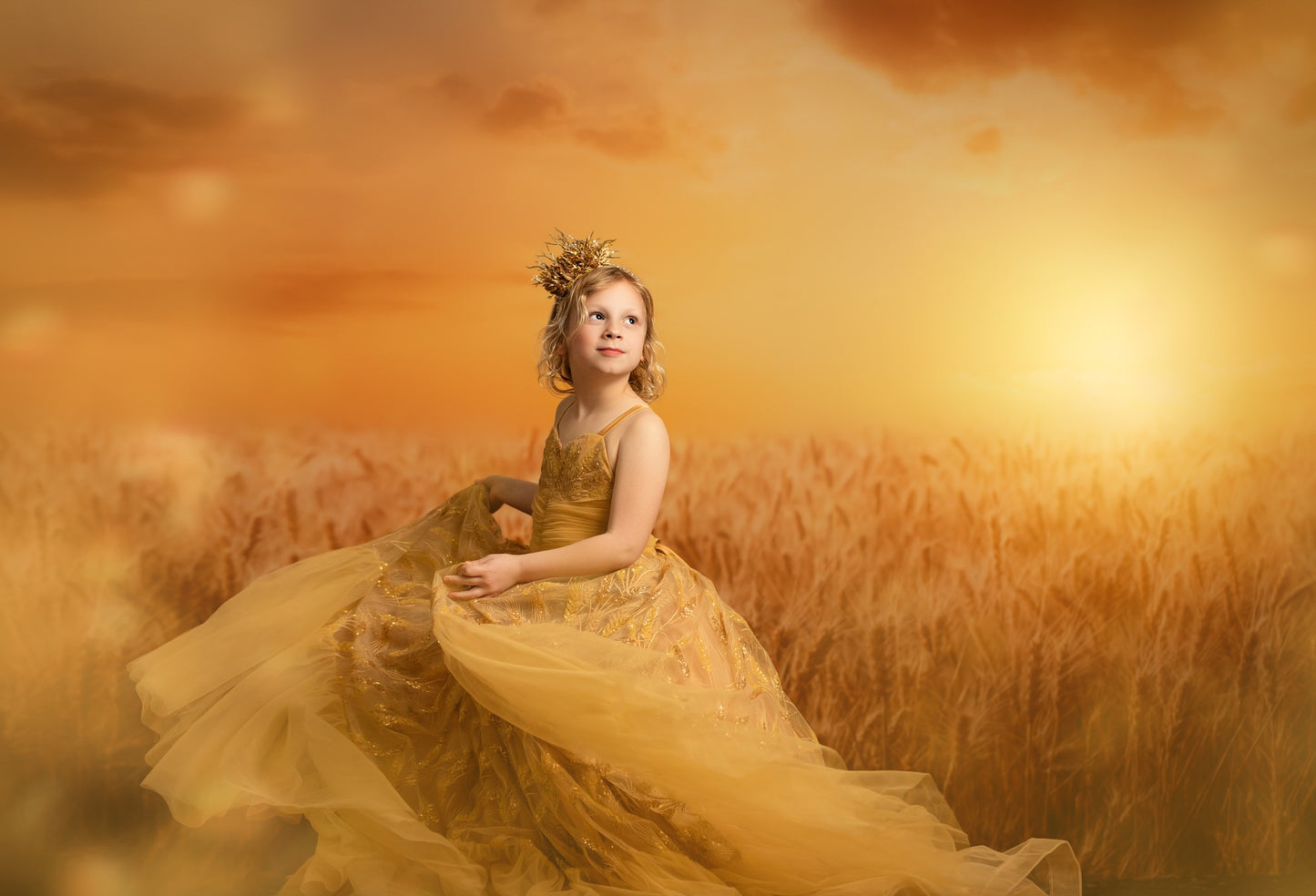 Golden Wheat Field