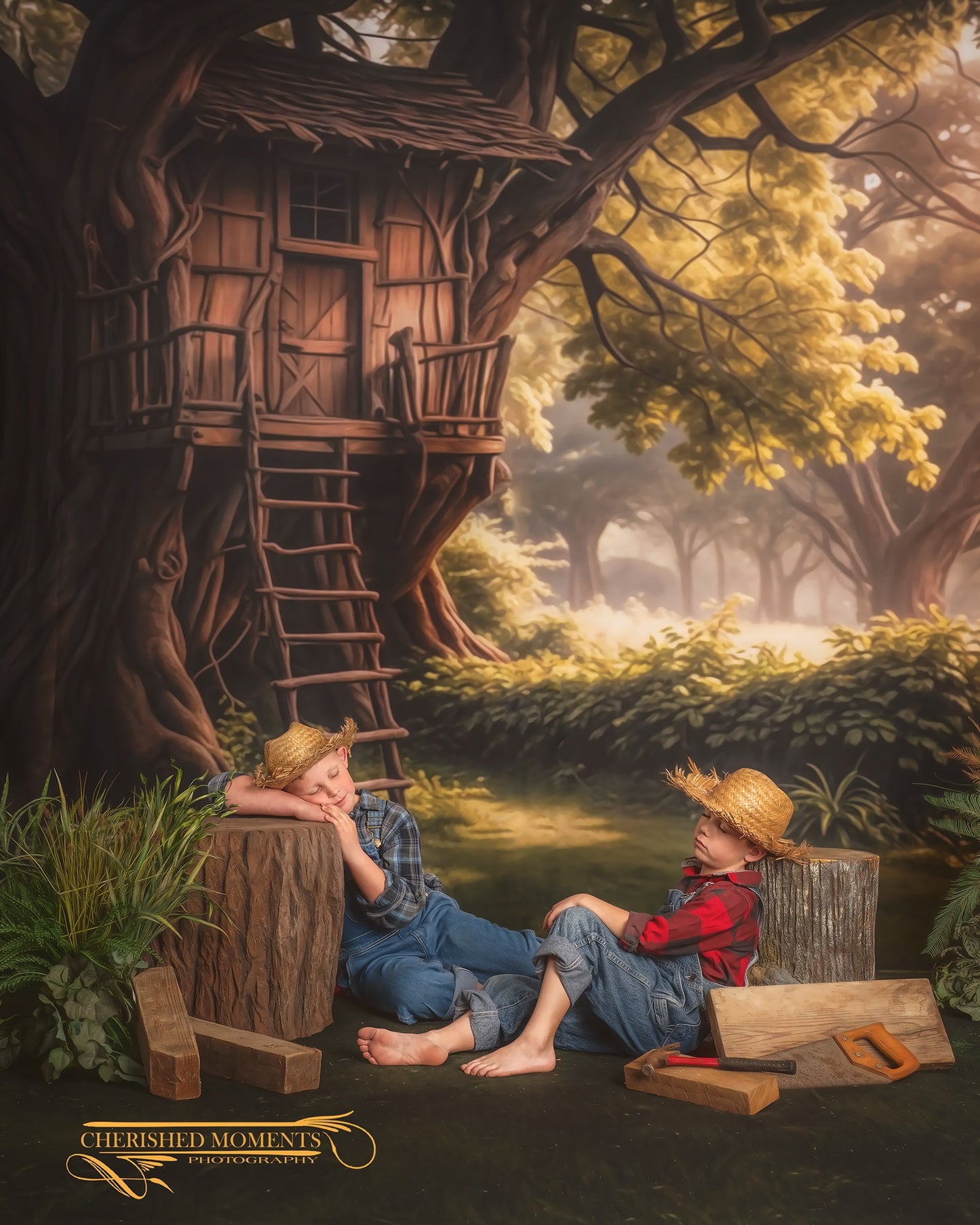 The Treehouse Tales - With Sweep Option