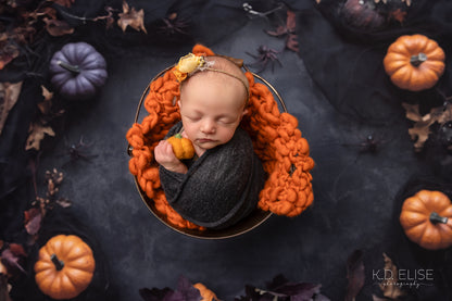 Pumpkin Noir - Petite