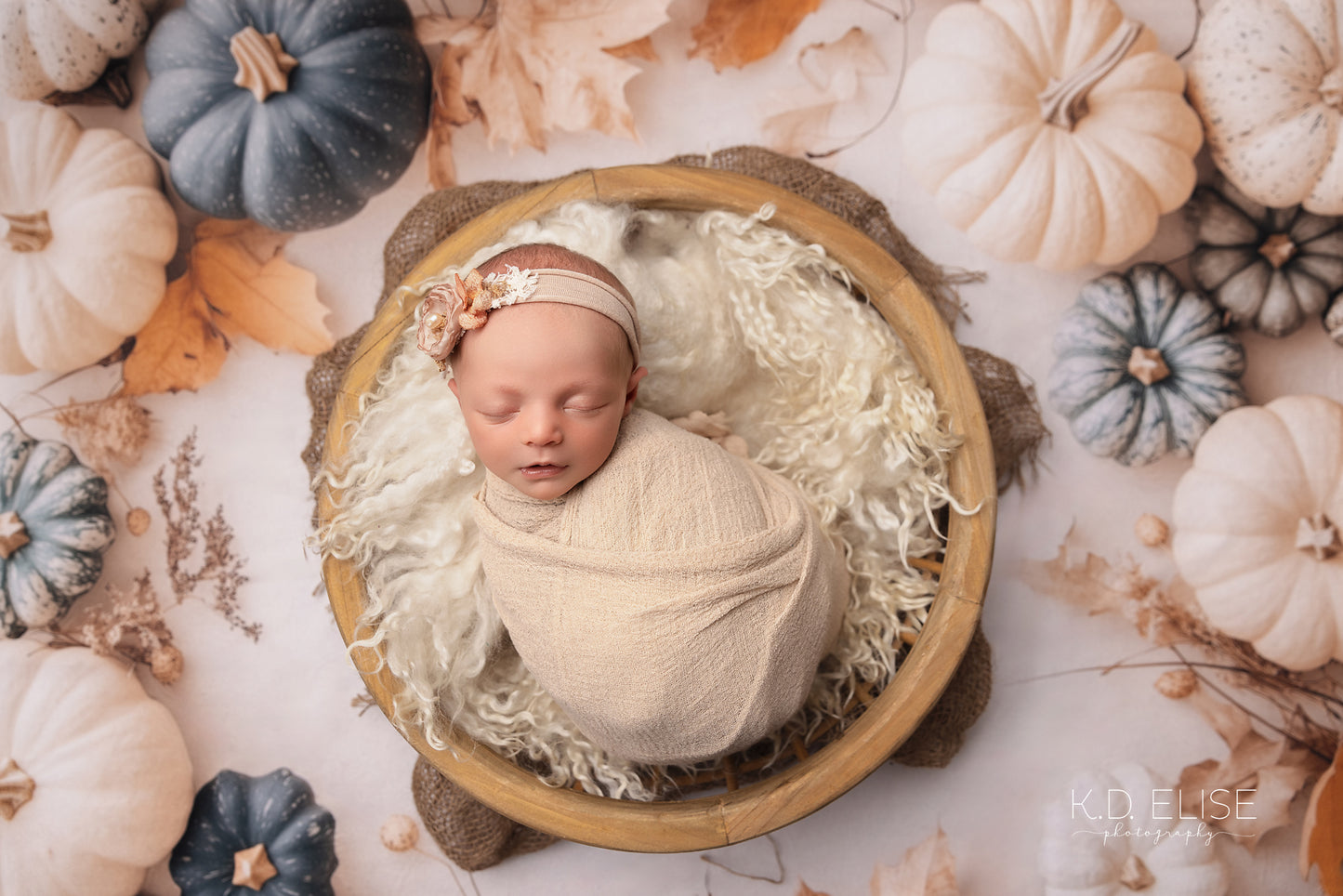 Pumpkin & Porcelain - Petite