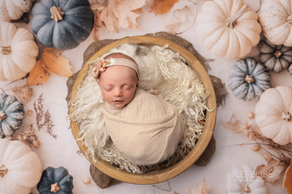 Pumpkin & Porcelain - Petite