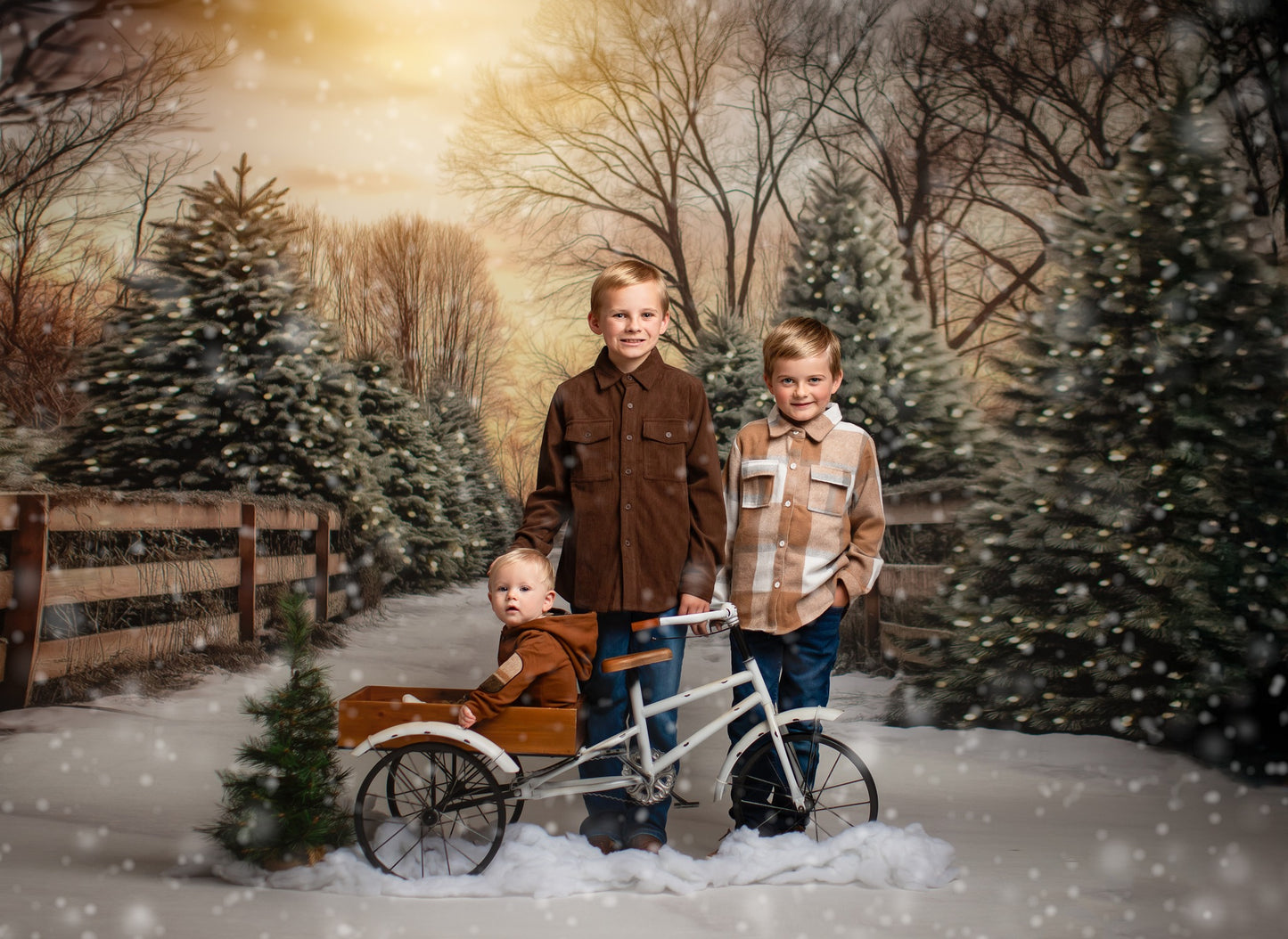 Twinkling Pines Trail - With Sweep Option