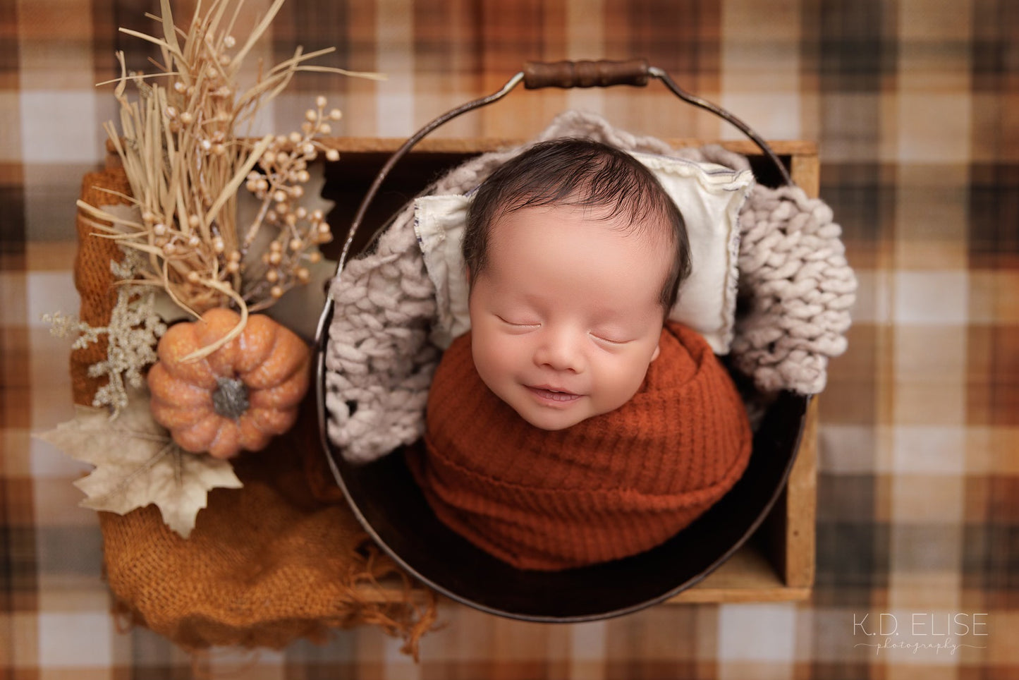 Homestead Plaid - Petite