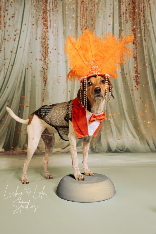 Mint Curtain - With Sweep Option