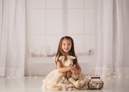 RTS Whimsical Window - 10x8' Wrinkle-Free Fabric - Banding - 60% Off